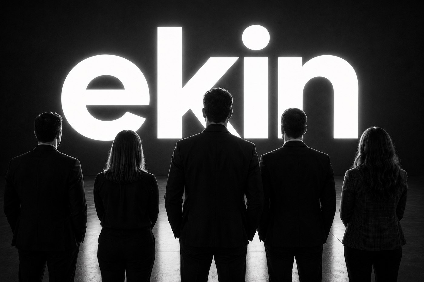 The EKIN team